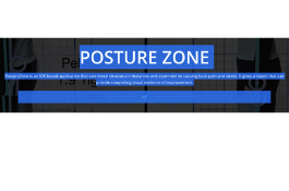 POSTURE ZONE